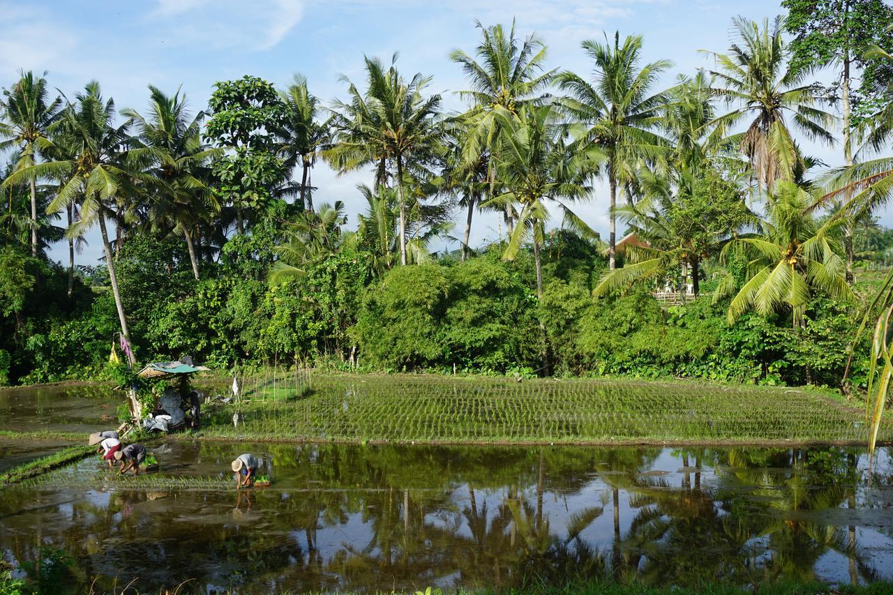 Puri Kobot Hotel Ubud  Exterior photo